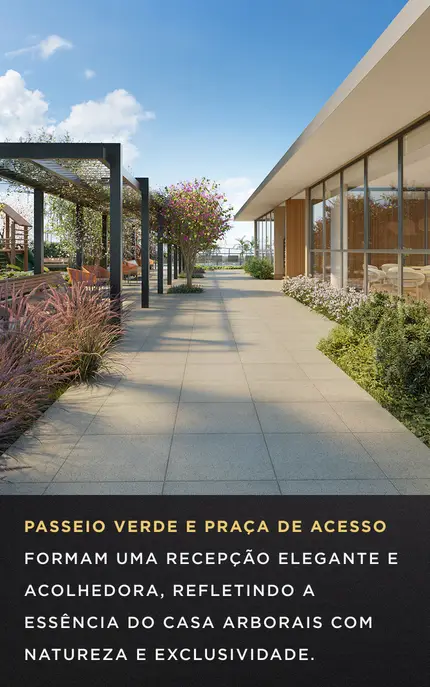 Ilustração da natureza e pista de caminhada